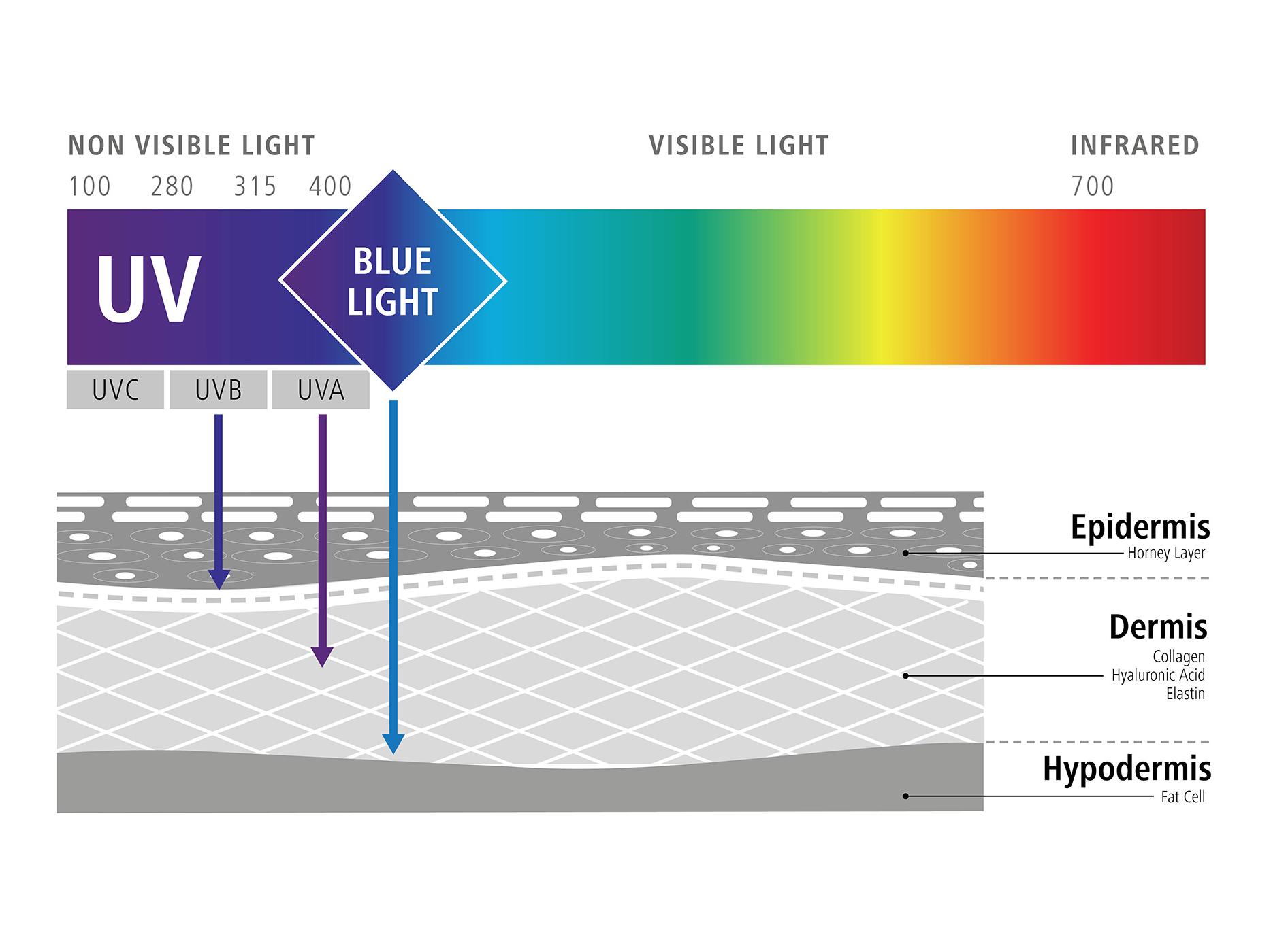 El gráfico muestra la influencia de la luz azul en nuestras células (efectos negativos de la luz azul) 