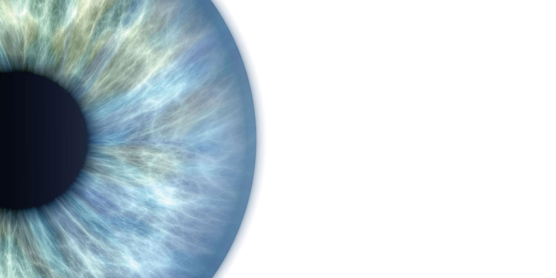 La pupila de un ojo de color verde y azul. 