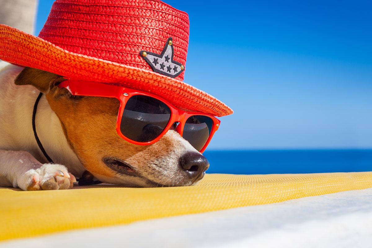 Llevar gafas en verano