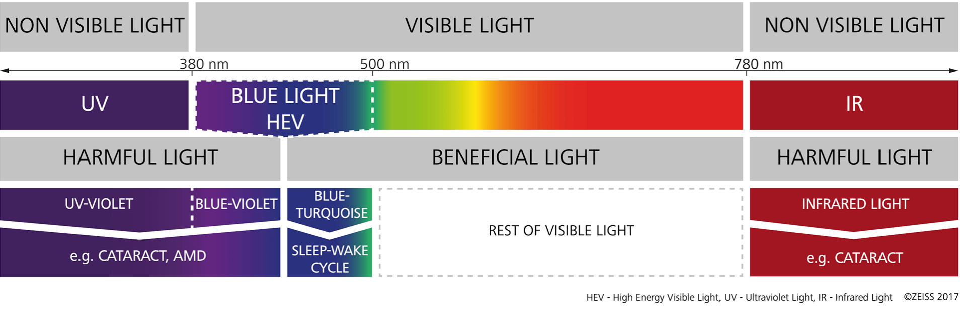 El espectro visible