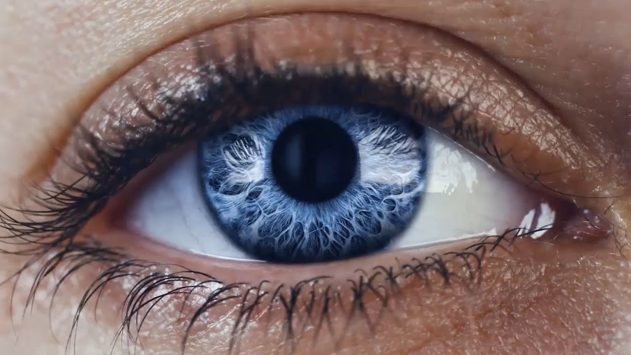 Bienvenido a ZEISS Vision Care