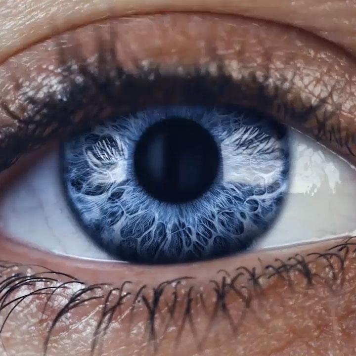 Bienvenido a ZEISS Vision Care